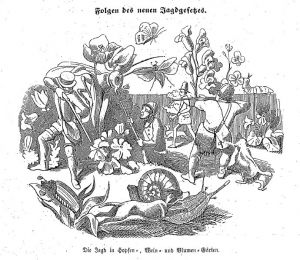 Eulenspiegel